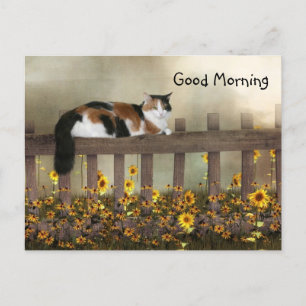 Carte Postale Bonjour calico kitty