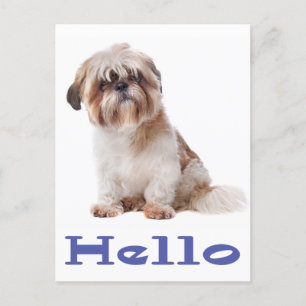 Carte Postale Bonjour Chien Chien Chien Chien Chien Chien Chien 