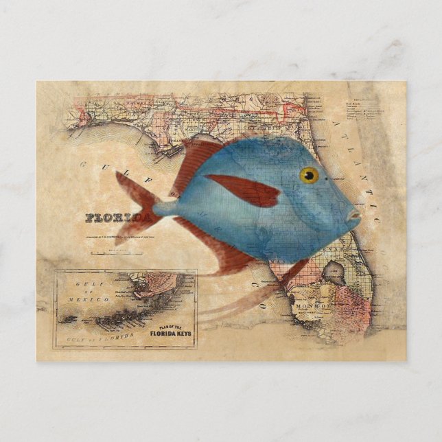 Carte Postale Bonjour de Floride (Devant)
