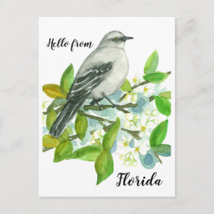 Carte Postale Bonjour De Floride Mockingbird Orange Blossom