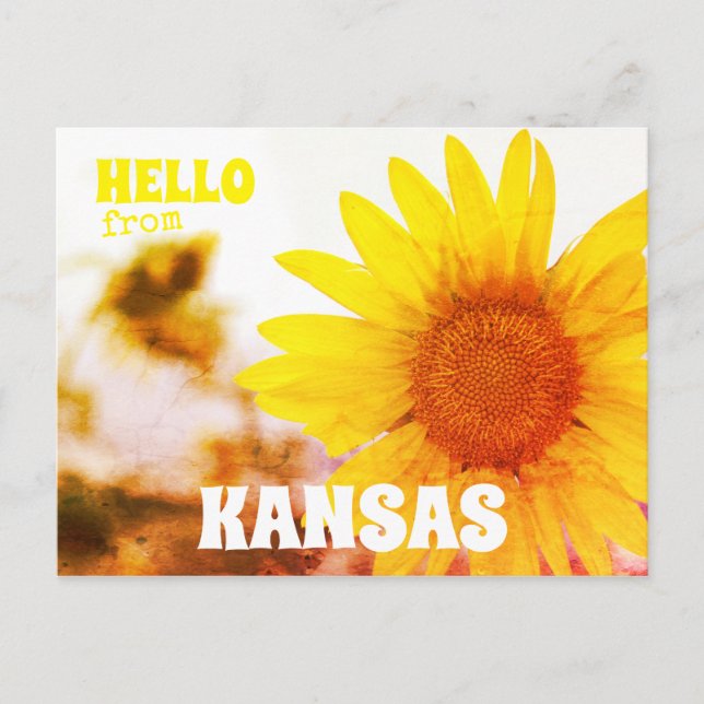 Carte Postale Bonjour de Kansas Sunflower (Devant)
