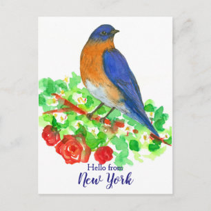Carte Postale Bonjour de New York Roses Bluebird