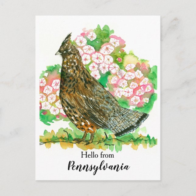 Carte Postale Bonjour de Pennsylvanie Ruffed Grouse Bird (Devant)