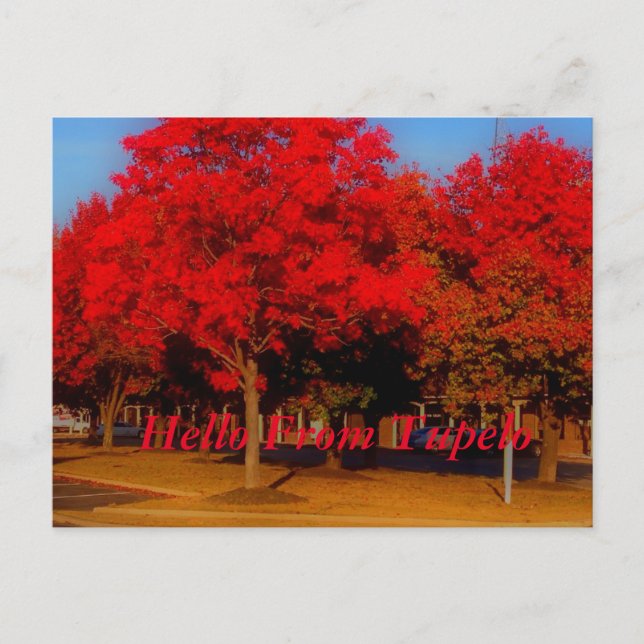 Carte Postale Bonjour De Tupelo (Devant)