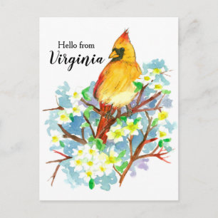 Carte Postale Bonjour de Virginia Femme Cardinal Dogwood