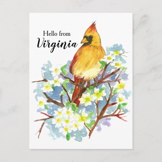 Carte Postale Bonjour de Virginia Femme Cardinal Dogwood (Devant)
