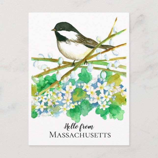 Carte Postale Bonjour du Massachusetts Chickadee Mayflower (Devant)