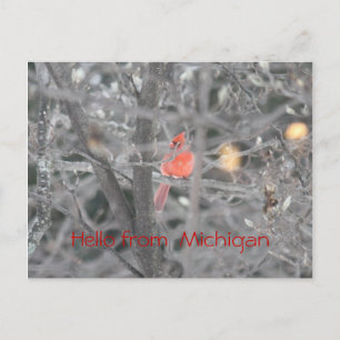 Carte Postale Bonjour du Michigan