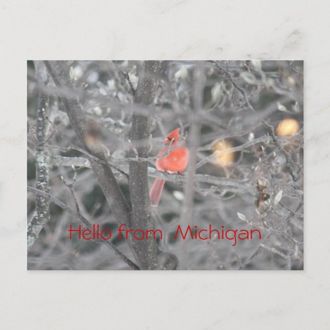 Carte Postale Bonjour du Michigan (Devant)