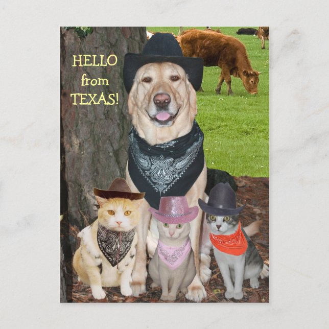 Carte Postale Bonjour du Texas ! (Devant)