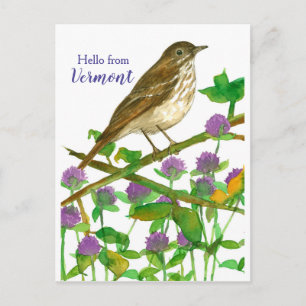 Carte Postale Bonjour du Vermont Hermit Thrush Purple Clover