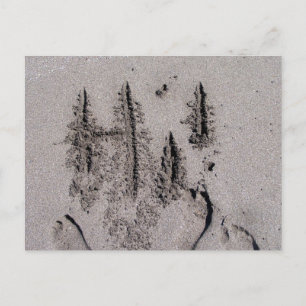 Carte Postale Bonjour ! Écrit en Floride sable avec empreintes