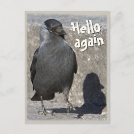 Carte Postale Bonjour encore CC0518 Jackdaw Postcard