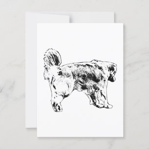 Carte Postale Bonjour, Golden Retriever