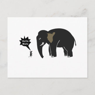 Carte Postale Bonjour Mate !