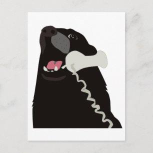 Carte Postale BONJOUR OUI C'EST LE CHIEN téléphone