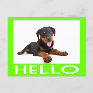Carte Postale Bonjour Rottweiler Chien Chien Chien Chien Chien S