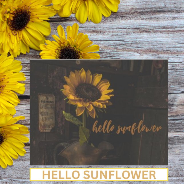 Carte Postale Bonjour Sunflower Vintage (Créateur téléchargé)