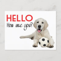 Bonjour Yellow Labrador Retriever Post Card