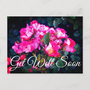 Carte Postale Bonne amélioration Bientôt Carefree Spirit Rose #1