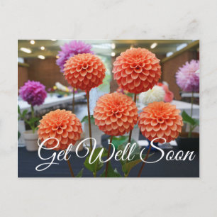 Carte Postale Bonne amélioration Bientôt Dahlia Rose Toscano #1