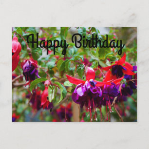 Carte Postale Bonne Anniversaire Fuchsia rouge et violette #2 Ca