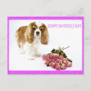 Carte Postale Bonne fête des mères Cavalier avec Rose Bouquet