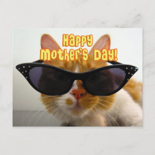Carte Postale Bonne fête des mères Chat Cool en lunettes de sole