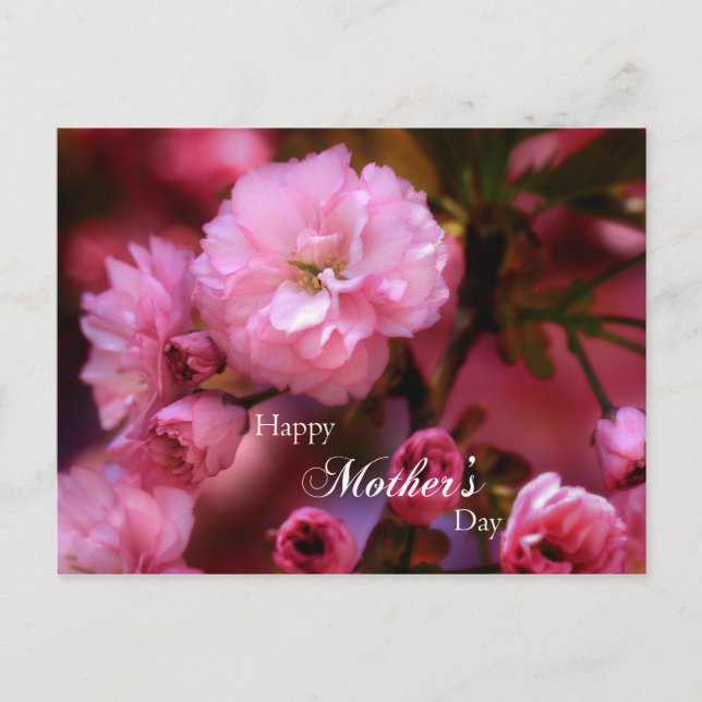 Carte Postale Bonne Fête des mères Printemps Fleurs de cerisiers (Devant)
