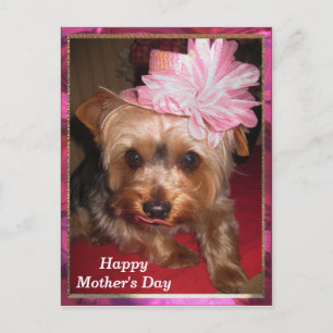 Carte Postale Bonne fête des mères Yorkie