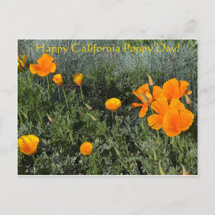 Carte Postale Bonne Fête du Pavot en Californie !