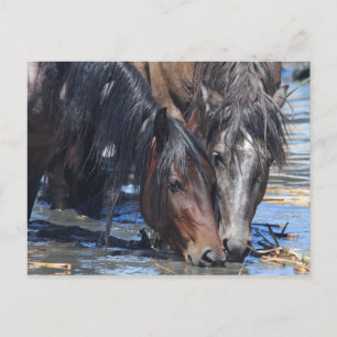 Carte Postale Bonne heure