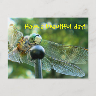 Carte Postale Bonne libellule