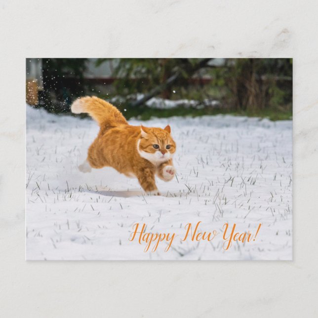 Carte Postale Bonne PostCard du Nouvel An de Cute Ginger Cat (Devant)