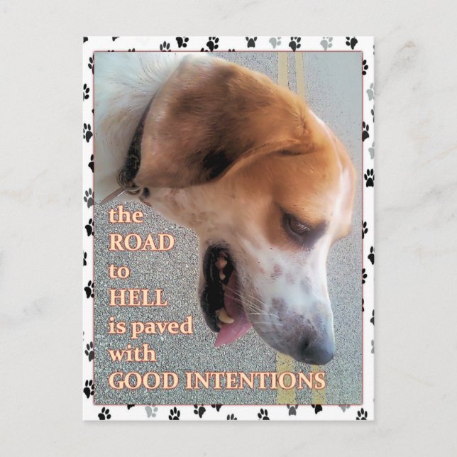 Carte Postale Bonnes intentions Chien (Devant)