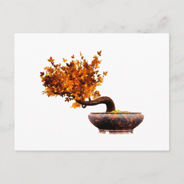 Carte Postale Bonsai 2 (Devant)