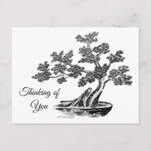 Carte Postale Bonsai - Style chinois - noir et blanc