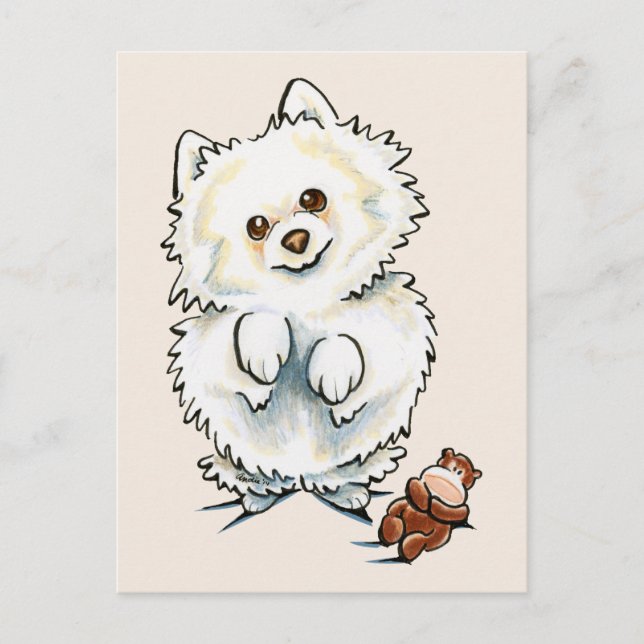 Carte Postale Boo Boo de Poméranie (Devant)
