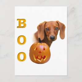 Carte Postale Boo Dachshund (lisse)