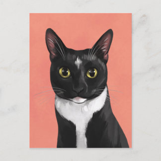 Carte postale Boo the Tuxedo Cat