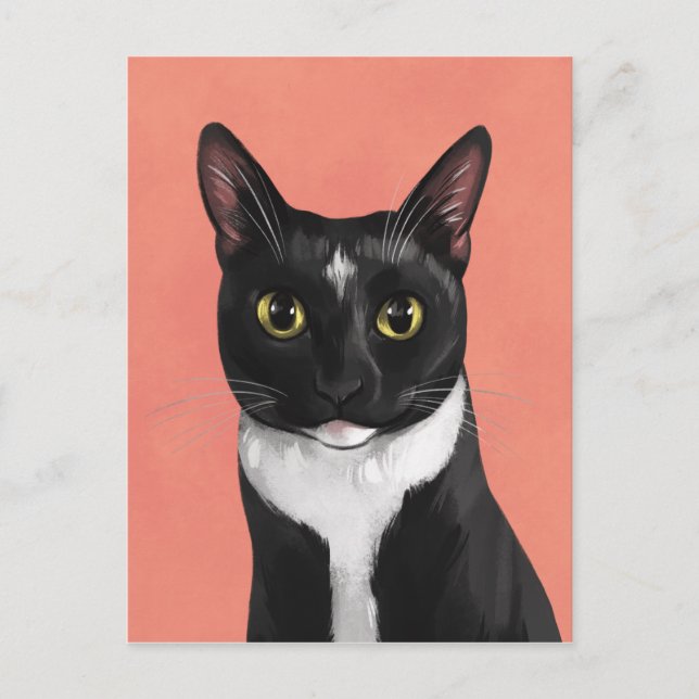 Carte postale Boo the Tuxedo Cat (Devant)