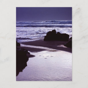 Carte Postale Boobys Bay