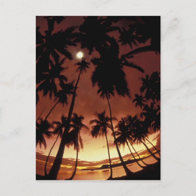 Carte Postale Bora Bora, le coucher de soleil de Polynésie franç (Devant)