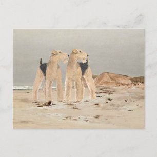 Carte Postale Bord de mer brumeux