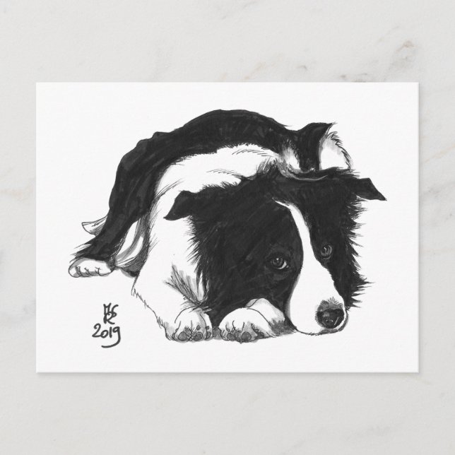 Carte postale Border Collie Doggust 2019 (Devant)