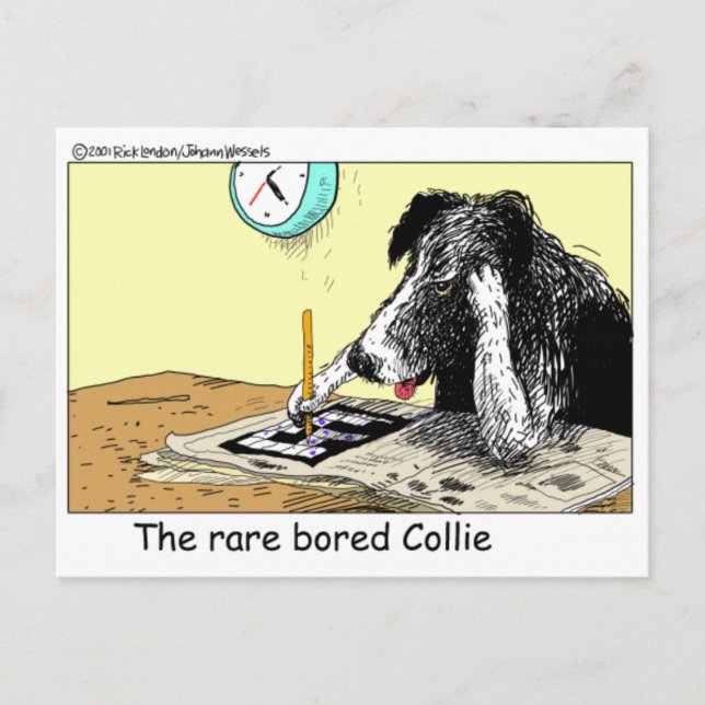 Carte Postale Bordure Bored Collie Drôle Cadeaux Tee - shirts Ob (Devant)