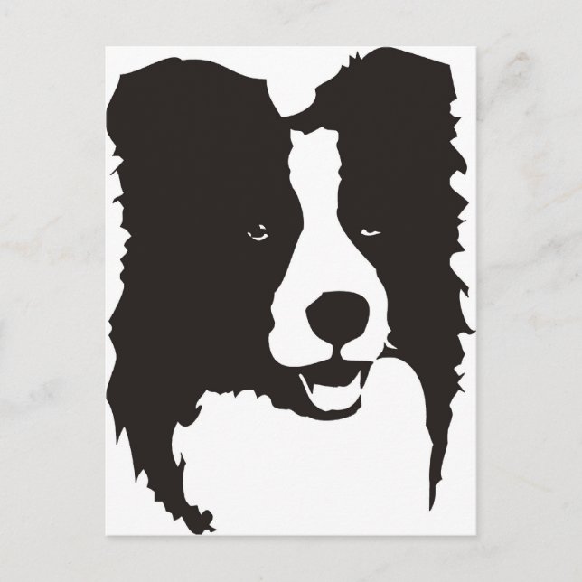 Carte Postale Bordure Collie (Devant)