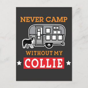 Carte Postale Bordure Collie Chien Chemise Funny RV Camping Voya