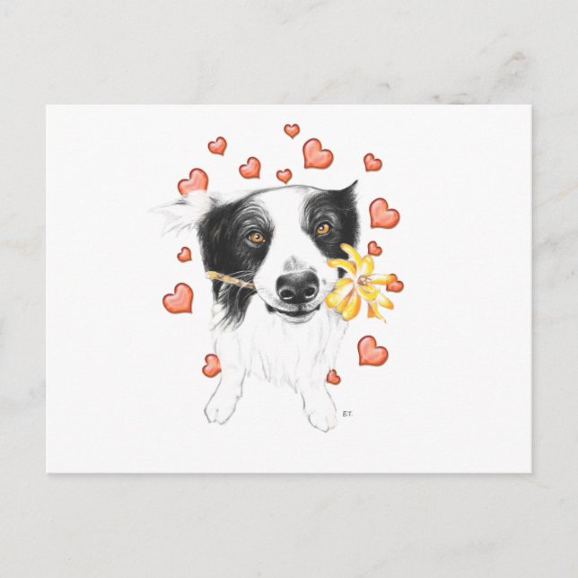 Carte Postale Bordure Collie Et Coeurs (Devant)