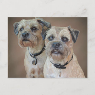 Carte postale Bordure Terrier